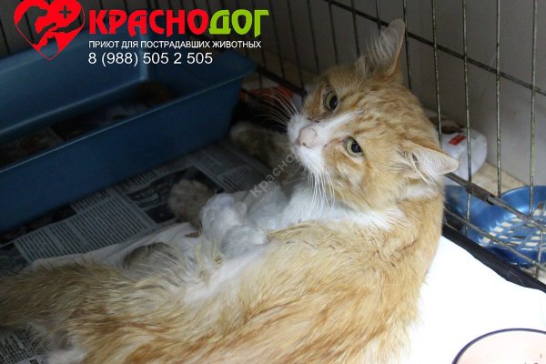 2krn ссылка