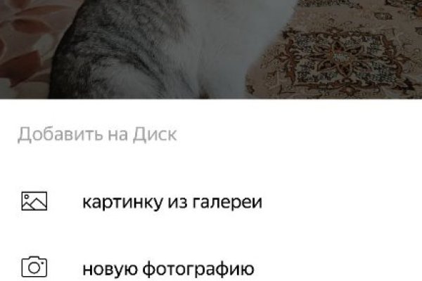 Кракен зеркало прокатис