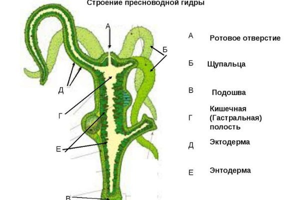 Кракен марке даркнет