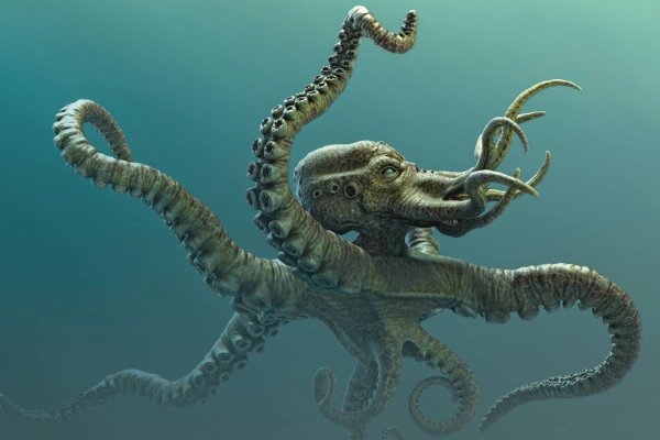 Kraken onion сайта
